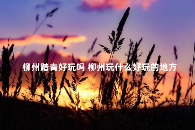 柳州踏青好玩吗 柳州玩什么好玩的地方